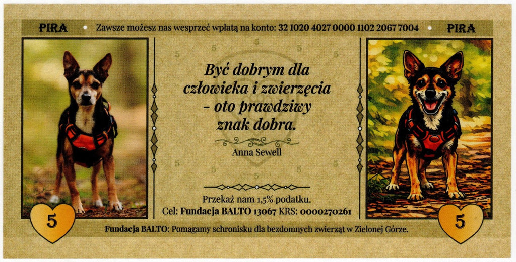 Cegiełka 5 zł, na schronisko dla bezdomnych zwierząt w Zielonej Górze