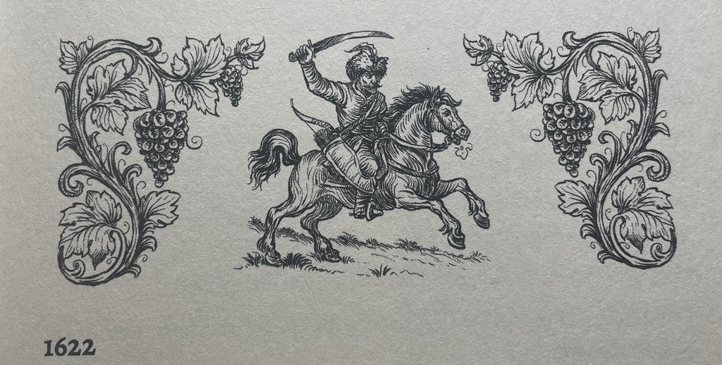 Książka Z dziejów Zielonej Góry, Kronika lat 1618-1737