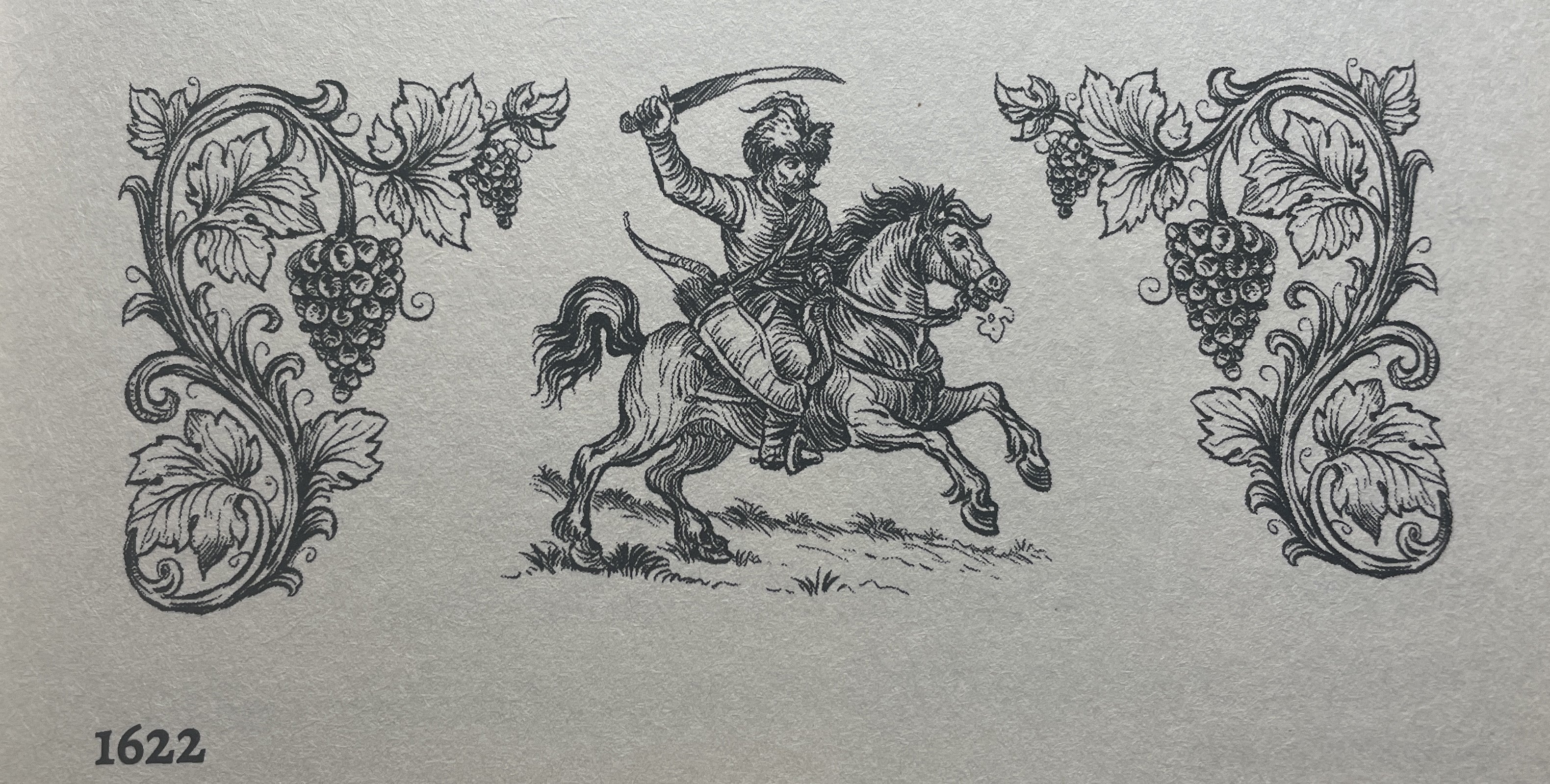 Książka Z dziejów Zielonej Góry, Kronika lat 1618-1737