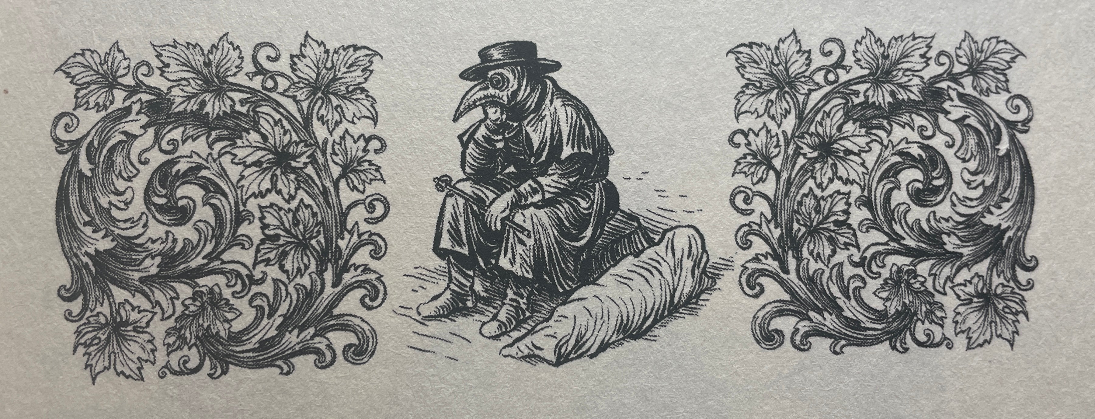 Książka Z dziejów Zielonej Góry, Kronika lat 1618-1737