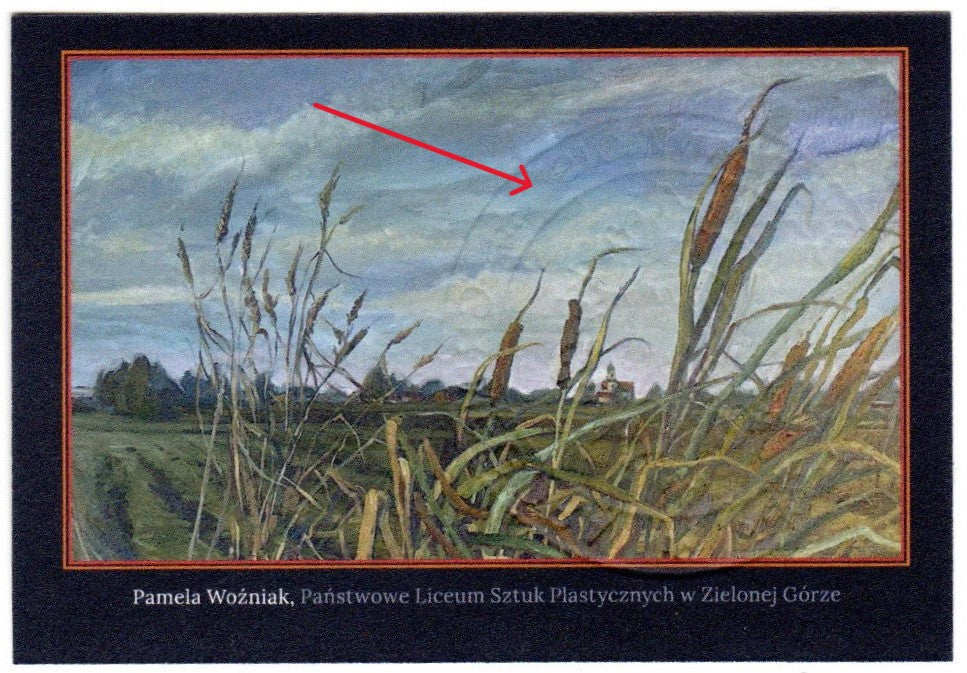 Bachnoty PLASTYK (Banknoty Bachusa)