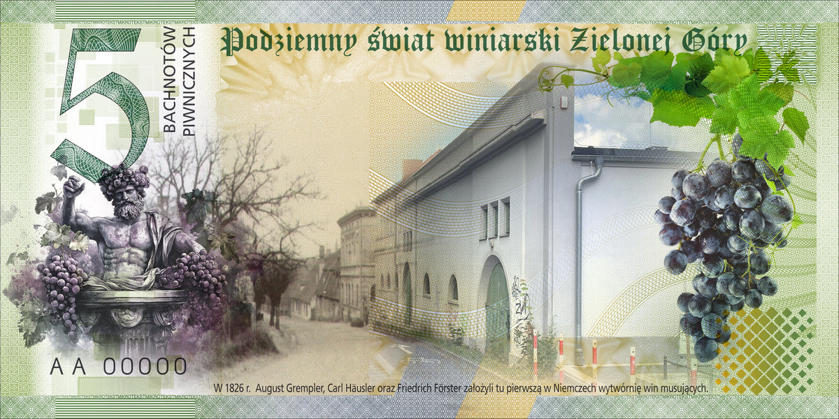 5 Bachnotów piwnicznych - Moniuszki 16 - przedsprzedaż.